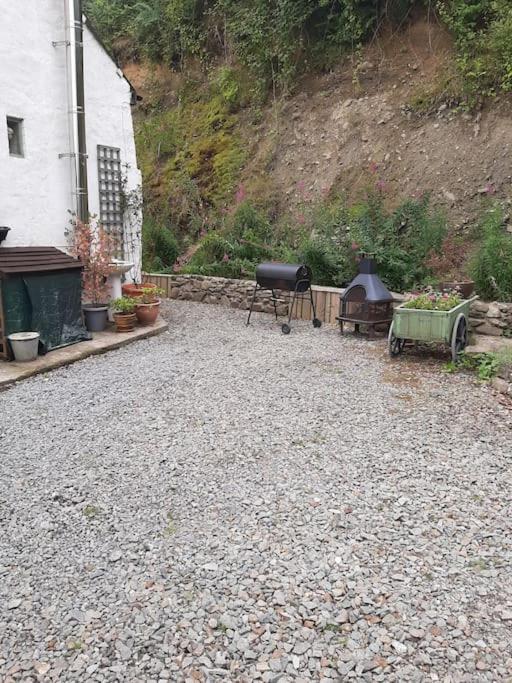 Y Smithy Daire Llanybyther Dış mekan fotoğraf